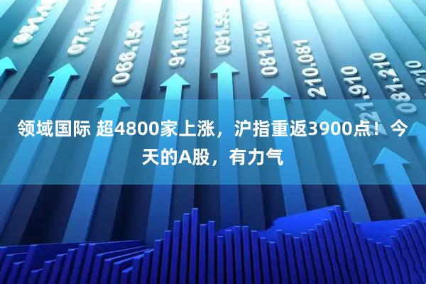 领域国际 超4800家上涨，沪指重返3900点！今天的A股，有力气
