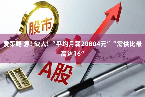 爱策略 急! 缺人! “平均月薪20804元”“需供比最高达16”