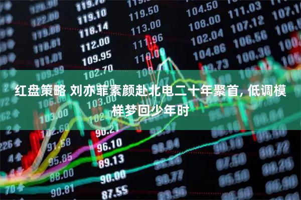 红盘策略 刘亦菲素颜赴北电二十年聚首, 低调模样梦回少年时