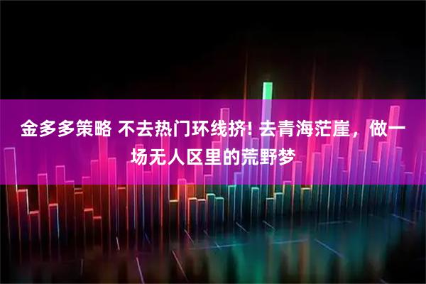 金多多策略 不去热门环线挤! 去青海茫崖，做一场无人区里的荒野梦