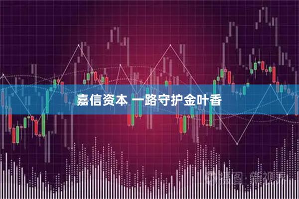 嘉信资本 一路守护金叶香